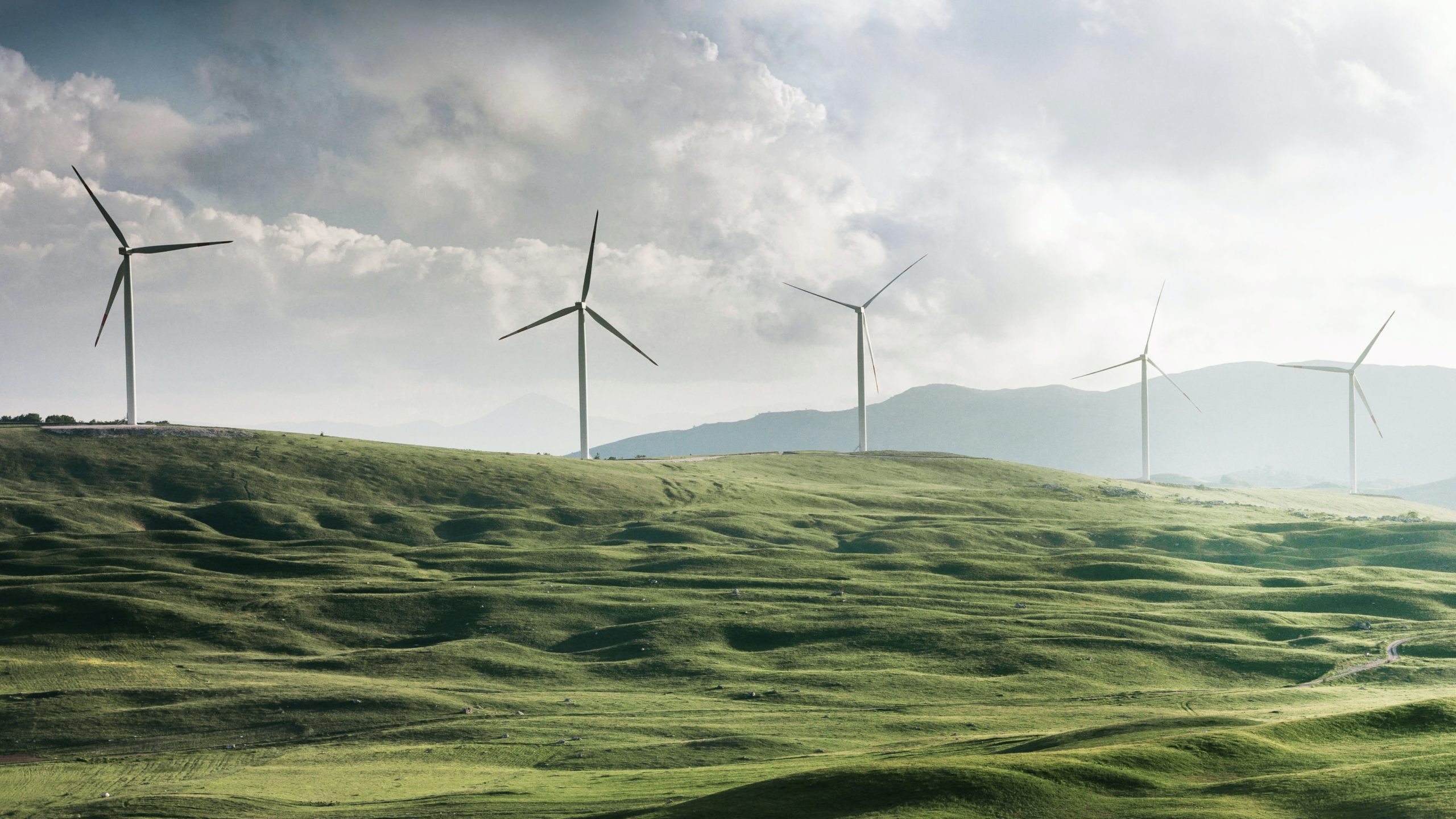 How “Green” Is Green Energy for Data Centers?